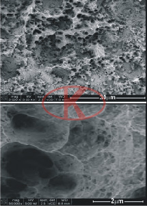 经喷丸酸蚀(SLA)处理之后样品表面的SEM图像