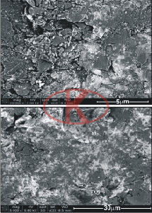 Surface SEM image of ∮150μm glass bead 40S blasting treatment 